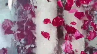 孕育不孕治療 NTR受精輔導 月妃沙羅